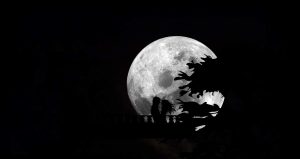moon-981385_1280